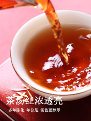 Ten Xin's TEA 天福天心茗茶 原味熟茶普洱茶迷你小沱茶云南茶叶小粒独立包装75g