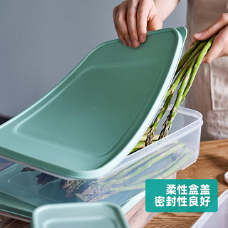 Citylong 禧天龙 抗菌保鲜盒食品级冰箱收纳盒 0.9L*3个装