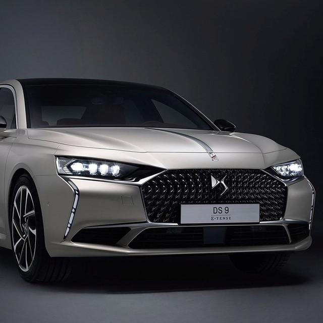 谛艾仕 DS 9新能源