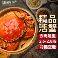湖鲜阳澄 大闸蟹 全母2.3-2.6两 4对8只礼盒