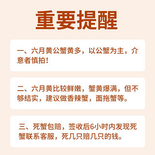 圣堂名钳大闸蟹六月黄去绳足重鲜活螃蟹生鲜水产礼盒 六月黄2.8-3.0两10只装