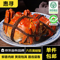 惠寻 京东自有品牌 大闸蟹六月黄1.7-2两8只 鲜活螃蟹生鲜水产去绳足重