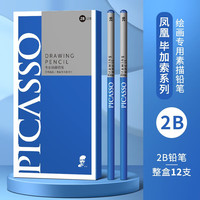Phoenix 毕加索铅笔炭笔 素描绘画铅笔2h2b16b软中硬炭笔速写特软碳炭笔绘图笔 整盒12支