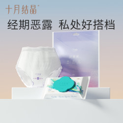 十月结晶安心裤经期卫生巾2片+纯水湿厕纸40抽