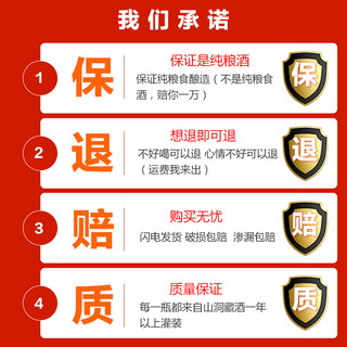 小马宝莉 迷你故事系列基础小马 紫悦 柔柔珍奇云宝（基础小马-碧琪3、均码）