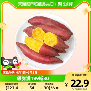 薯小萌 天目山小香薯中果5斤新鲜红薯