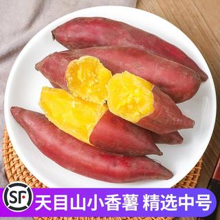 薯小萌 天目山小香薯中果5斤新鲜红薯
