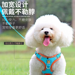 茨格曼 狗绳牵引绳狗链子胸背带遛狗绳子中小型犬宠物用品