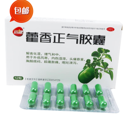 远健 藿香正气胶囊 4盒