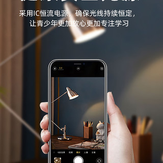 雷士 NVC   Lighting照明led球泡灯家用超亮节能e27螺口光源e14单灯led灯条小灯泡 38W 正白光 6500k