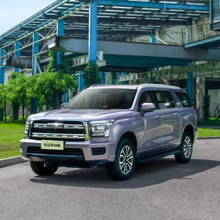 HAVAL 哈弗 H5 23款 2.0T 手动四驱回归定制版 柴油