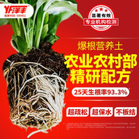 洋丰 家庭园艺通用营养土种花土多肉土兰花土养花盆栽土 6L