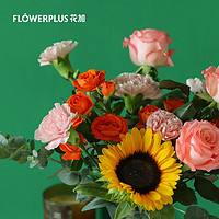 FlowerPlus 花加 希光航线 教师节花束带池露花瓶 9月10日收