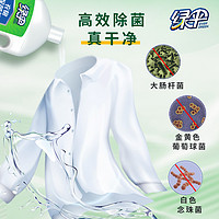 EVER GREEN 绿伞 衣物除菌液1.8kg机洗除菌内衣裤衣服杀菌液洗衣液衣物家用
