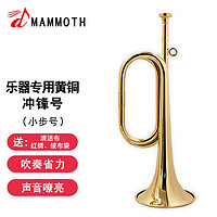 MAMMUT 猛犸象 小步号乐器B100