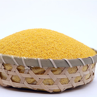 孟克河 有机敖汉黄小米5KG 内蒙古特产 小米粥杂粮 有机黄小米