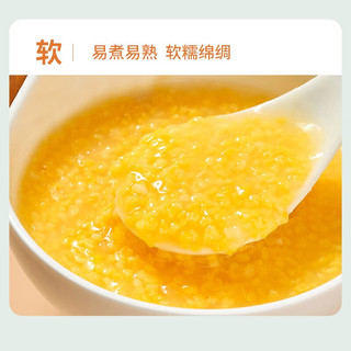孟克河 有机敖汉黄小米5KG 内蒙古特产 小米粥杂粮 有机黄小米