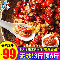 一虾一世界 无冰冷冻龙虾尾 净重500g（130-145只）