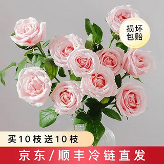 花点时间 玫瑰鲜花 特惠款 随机小玫瑰 10枝