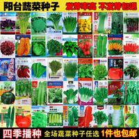 田间小径 蔬菜种子四季种植家庭阳台盆栽庭院易种植草莓番茄籽 32号:水果红丁樱桃萝卜(约5g）