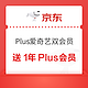 限时活动：京东PLUSX爱奇艺双会员  送1年京东PLUS