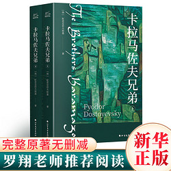 《卡拉馬佐夫兄弟》（全2冊）