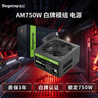 Segotep 鑫谷 AM750W 白牌模组电源