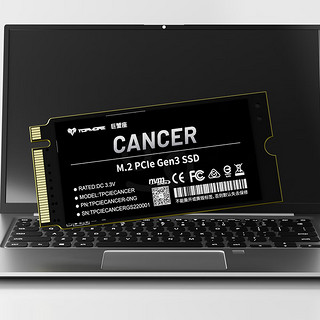 TOPMORE 达墨 巨蟹座 NVMe M.2 固态硬盘 1TB（PCI-E3.0）