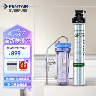 EVERPURE 爱惠浦 MC2净水器 厨房餐饮用水过滤器