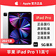 Apple 苹果 21款Apple/苹果 iPad Pro 11英寸 5G平板电脑 国行正品 全新原封