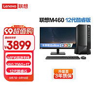 ThinkPad 思考本 Lenovo 联想 杨天 M460 2022款 十二代酷睿版 23英寸 商用台式机 黑色（酷睿i5-12400、核芯显卡、16GB、256GB SSD+1TB HDD、风冷）