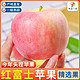 御品一园 陕西红富士苹果水果新鲜冰糖心丑苹果当季脆甜净重4.7斤