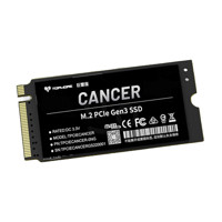 TOPMORE 达墨 巨蟹座 NVMe M.2固态硬盘 1TB（PCIe 3.0）
