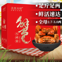 圣堂名钳 阳澄江南大闸蟹鲜活螃蟹礼盒现货去绳足重全母蟹2.6-2.9两8只中秋过节送礼海鲜