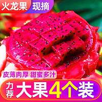 思卓（SIZHUO）金都一号红心火龙果 蜜宝红肉火龙果大果生鲜时令水果 整箱3斤中果（4-6个）