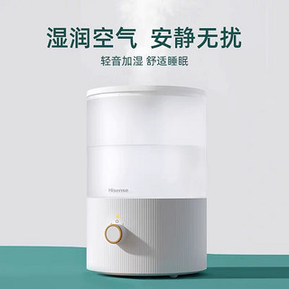 海信（Hisense） 海信加湿器家用轻音卧室内婴儿净化空气小型香薰大雾量喷雾器 超声波加湿+滤网 SG250-JN05