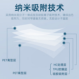 lovebird 相思鸟 钢琴电子琴通用静电无胶键盘贴五线谱简谱初学音符音标琴键贴