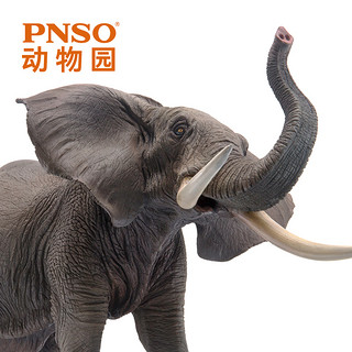 PNSO 非洲象满满动物园成长陪伴模型01