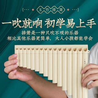 PTNOKA 初学入门升级16管玉竹排箫乐器儿童小学生专业C调十六管排箫
