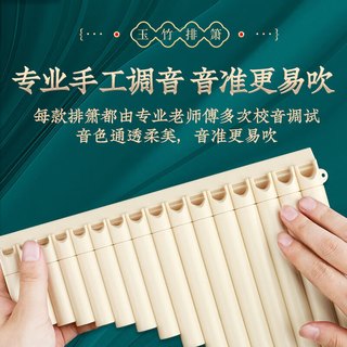 PTNOKA 初学入门升级16管玉竹排箫乐器儿童小学生专业C调十六管排箫