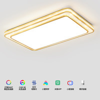 AUX 奥克斯 led客厅灯卧室灯餐厅灯吸顶灯北欧现代简约满天星透光灯饰