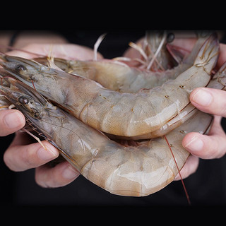 浓鲜时光大号白虾冻虾船冻虾基围虾30-40只/KG海鲜水产青虾对虾 净重1.5kg（只只分离）