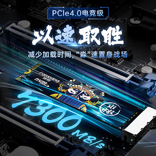 FANXIANG 梵想 S790C 1TB 固态硬盘 长江存储晶圆国产TLC颗粒 M.2接口PCIe 4.0 7300MB/s