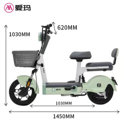 aima 爱玛 泡泡电动车48v新国标可上牌成人电动自行车可拆卸锂电代步