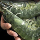  XYXT 虾有虾途 青岛海水大虾 单只11-14cm 2kg　