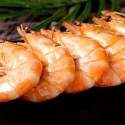 oceancraftmanspirit海匠心活冻海捕大明虾南海生长对虾海虾黄虾大虾