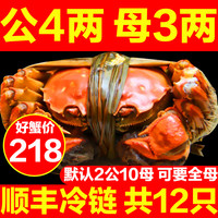 活蟹特大12只大闸蟹鲜活螃蟹全公母河蟹阳澄湖镇海鲜水产旗舰礼盒
