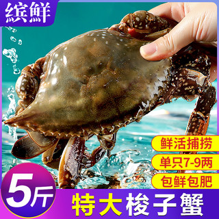 梭子蟹鲜活新鲜特大野生舟山大螃蟹海鲜水产冷冻海蟹白蟹飞蟹