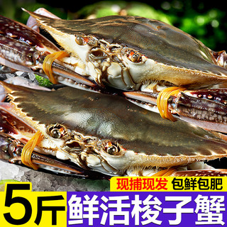 梭子蟹鲜活新鲜特大野生舟山大螃蟹海鲜水产冷冻海蟹白蟹飞蟹