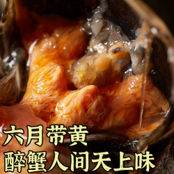 胖子 醉毛蟹「宁波呛蟹」即食醉蟹生腌大闸蟹腌制螃蟹捞汁海鲜下酒